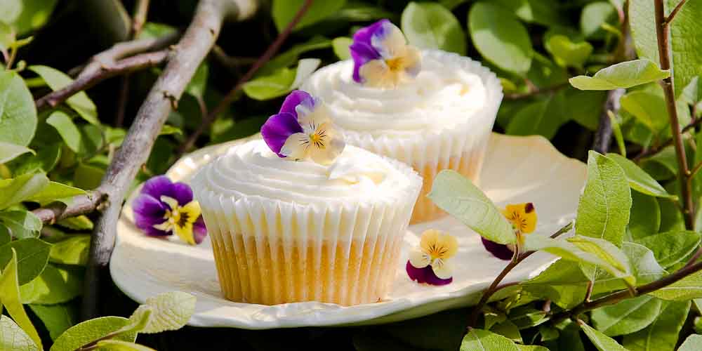 Violet Cup Cakes